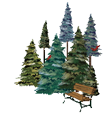 Helvetia Christmas Tree Farm