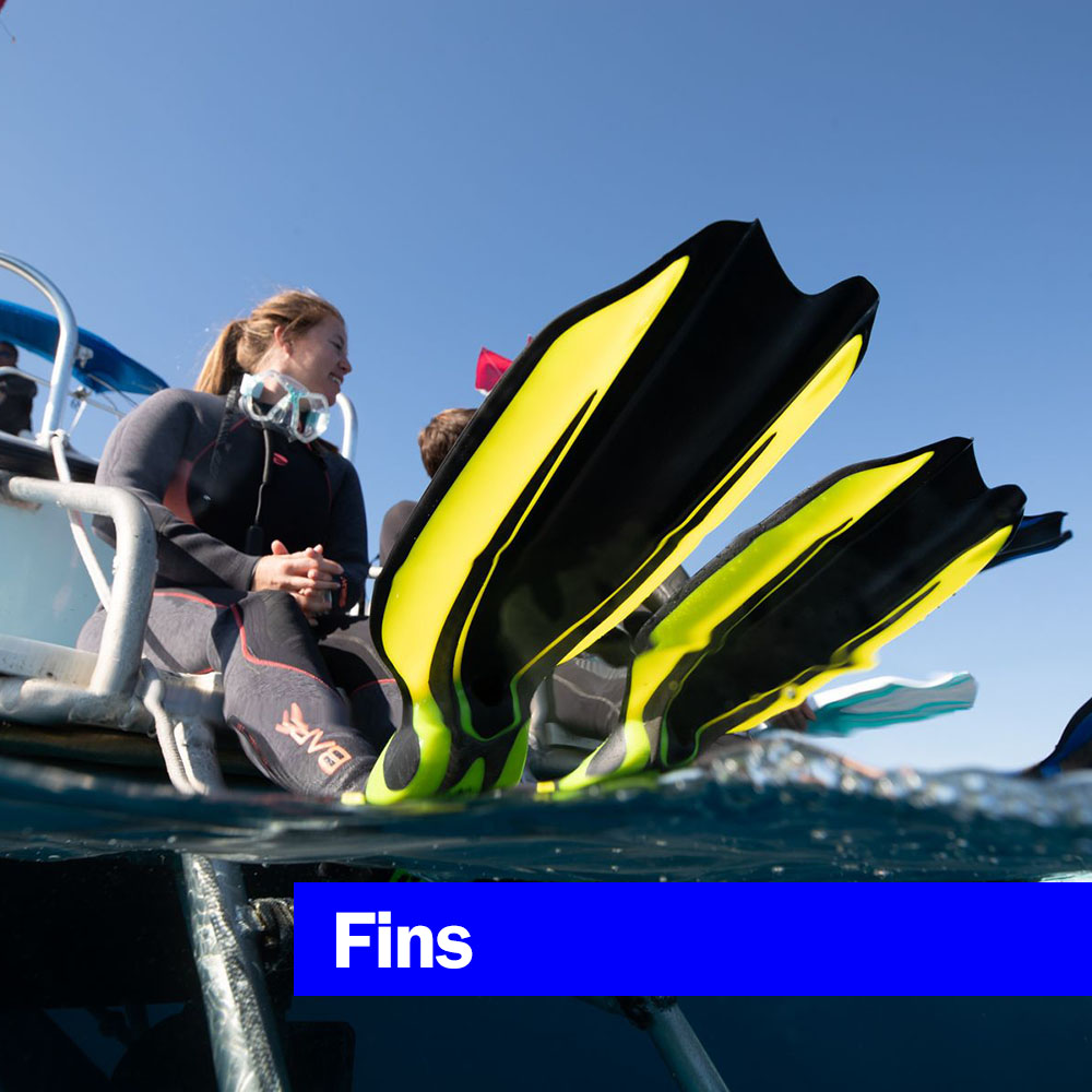 Scuba Fins