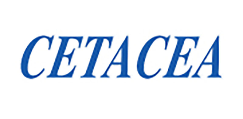 Cetacea